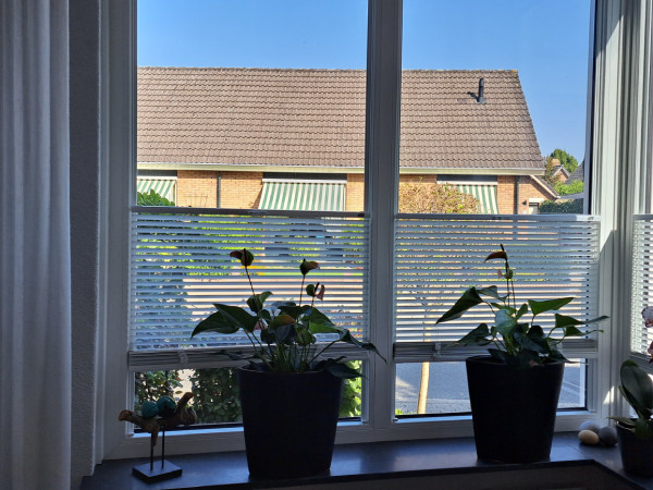 Duette Shades in woonkamer